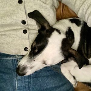 Meet your Posher, Chelsea m